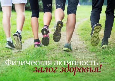 Физическая активность как залог здоровья семьи