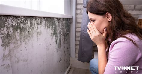 Как ремонт в доме может повлиять на ваше здоровье