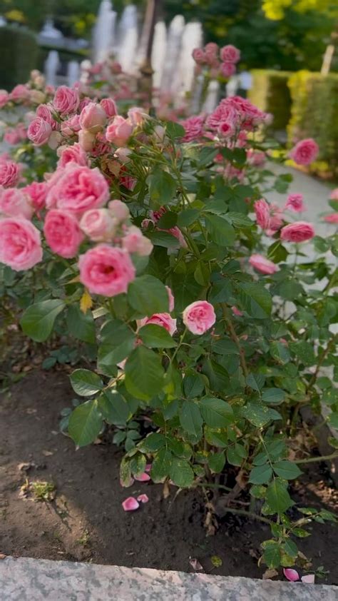 Как завершилась история в сериале «Красота в твоих глазах»: сила любви и пути к исцелению