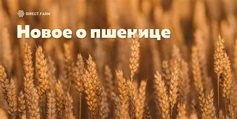 Необычные факты о мире: что удивляет больше всего