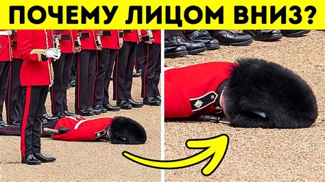 Необычные факты о мире: 20 открытий, которые удивляют