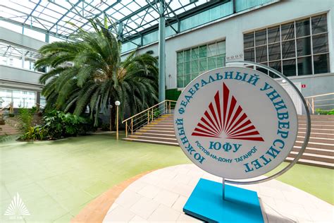 Психологические сезоны в ЮФУ: новые горизонты для развития и самоосознания